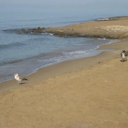 Affittacamere Maravelias House