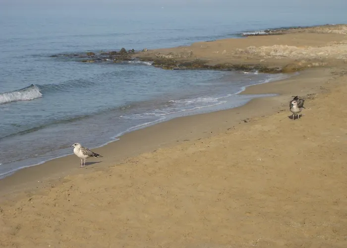 Guest house Maravelias House